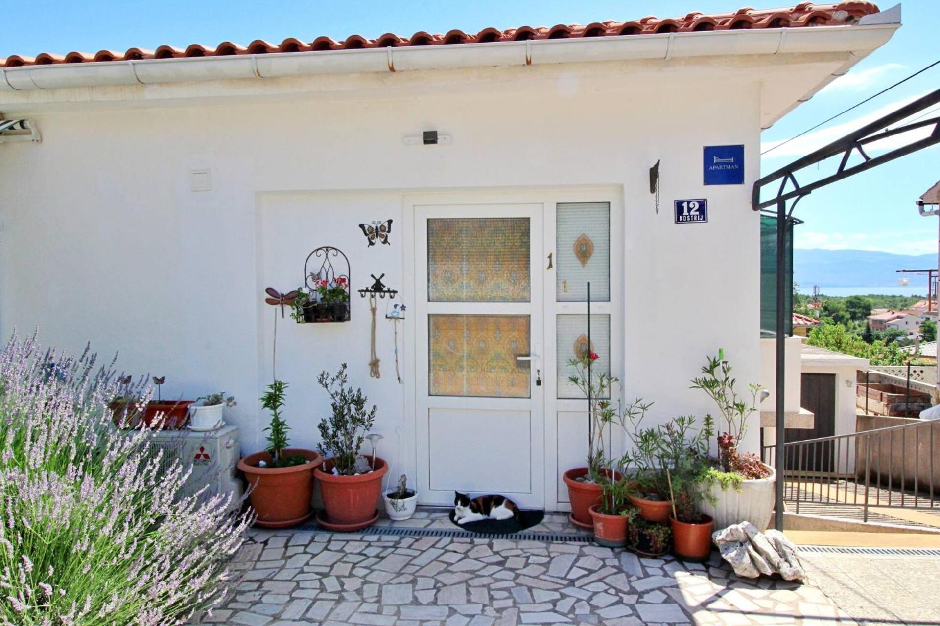 Apartment Renata Šilo Esterno foto